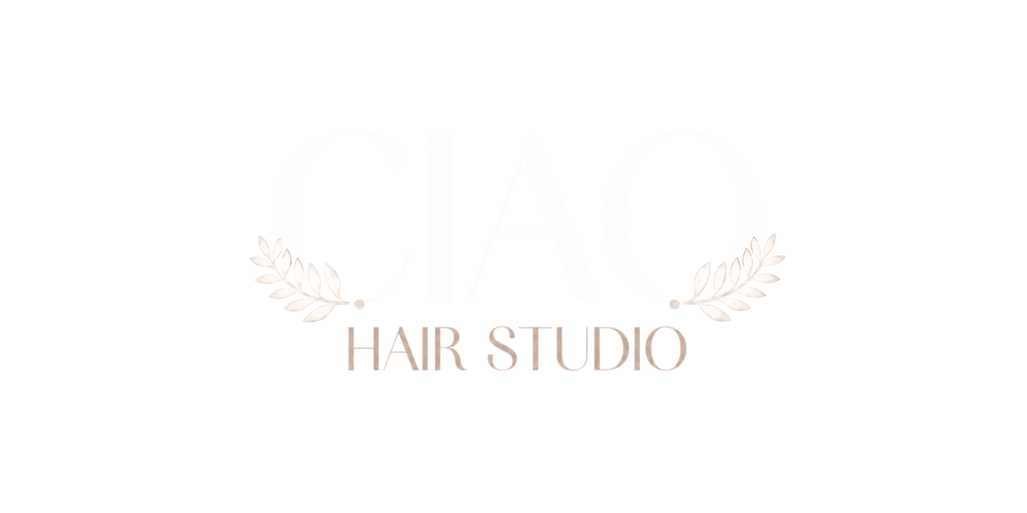 CIAO Ari